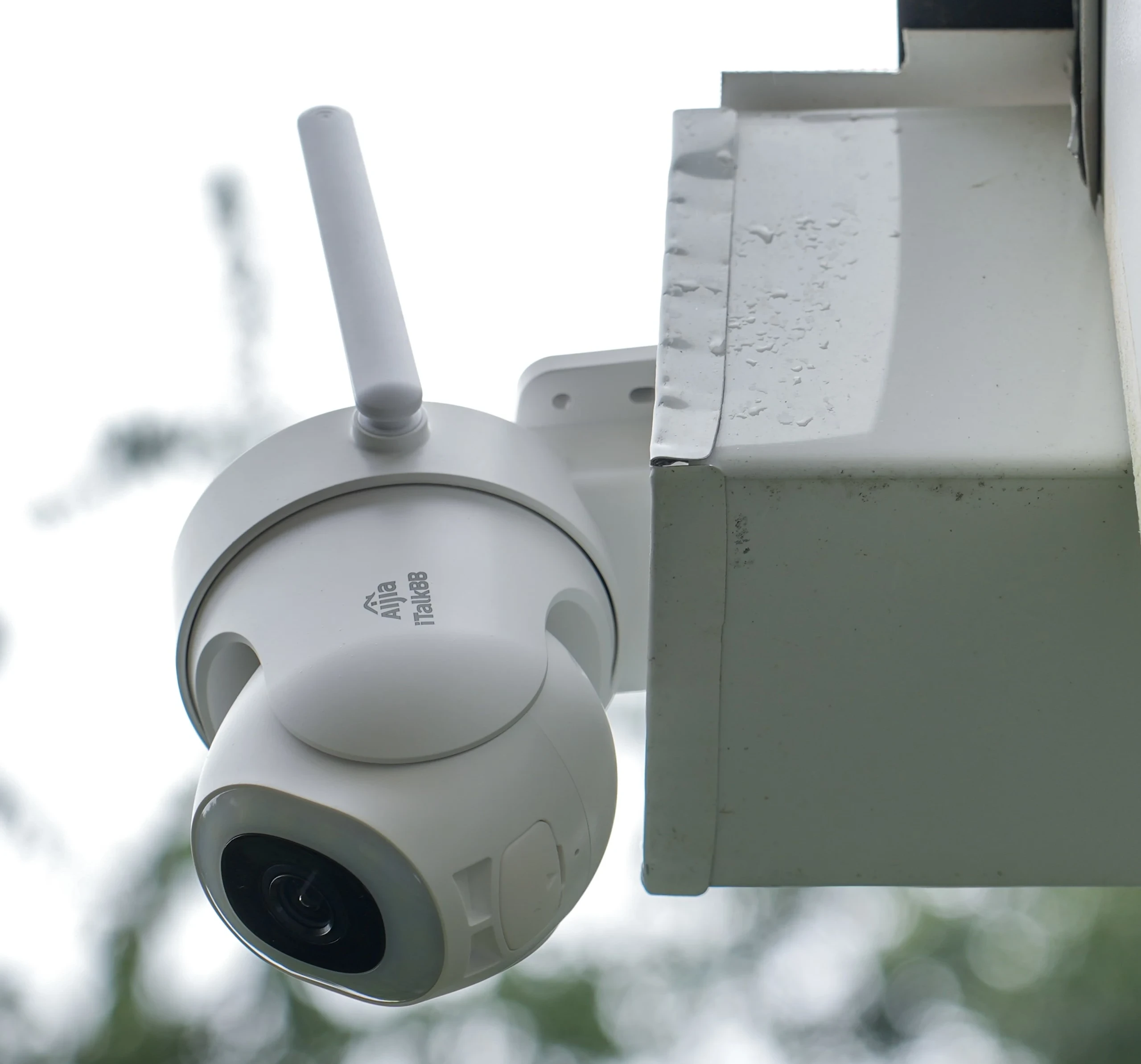 iTalkBB Aljia 實際產品圖